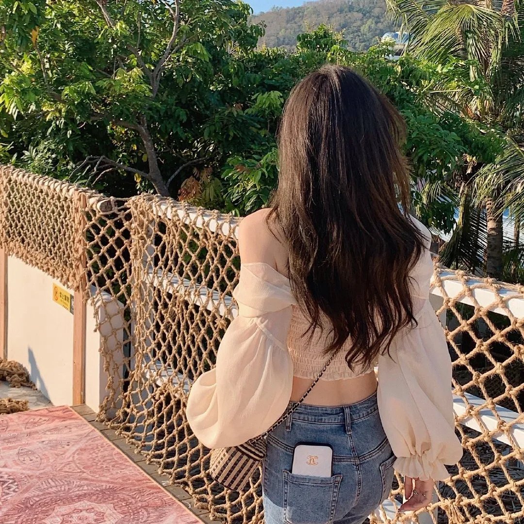 托托的色彩美学观